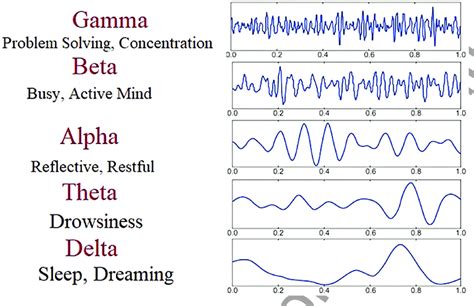 Eeg Brain Waves