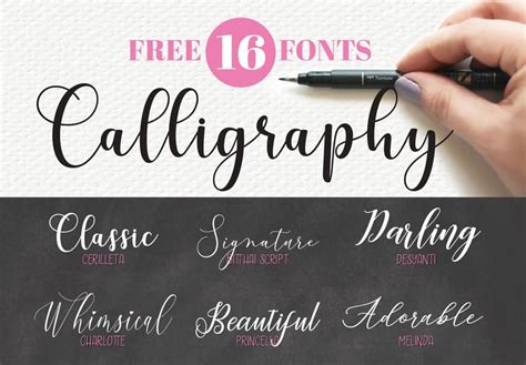 16 FREE calligraphy fonts for your next creative project | Free calligraphy fonts, Lettering ...