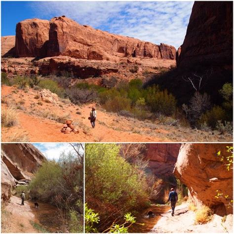 hiking in moab, utah | outdoors | Pinterest