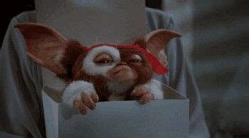 Pin by Samuel the Wolf on Gizmo | Gremlins, Cute fantasy creatures, Ghost movies