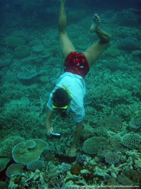 Snorkeling in Fiji along the coral reefs | HI Travel Tales