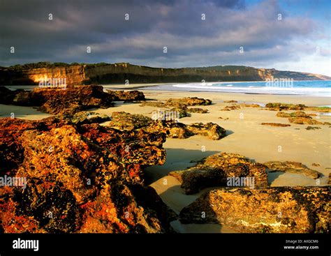 Anglesea beach on the great ocean road in Victoria, Australia at Stock Photo: 9621829 - Alamy