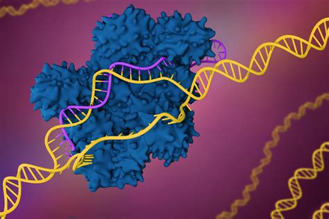 New Tool for Rapidly Analyzing CRISPR Edits Reveals Frequent Unintended ...