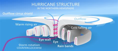 Convection flow of hurricane [2] | Download Scientific Diagram