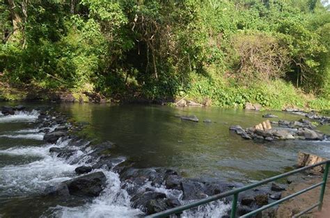 Calauan River, Laguna | Places, Laguna, River