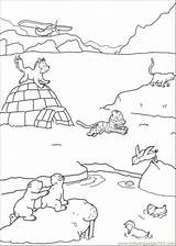 Free Printable Arctic Animals Coloring Pages  Home sketch template