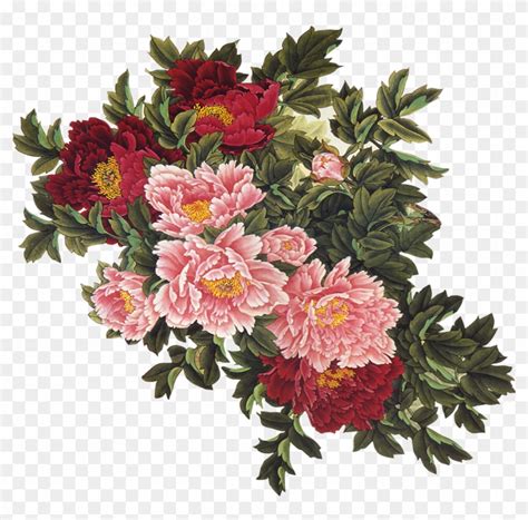 Peony Clipart Swag - Vintage Flowers Illustration Png, Transparent Png ...