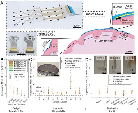 Technology validation of soft ECoG grids. A) Schematic representation... | Download Scientific ...