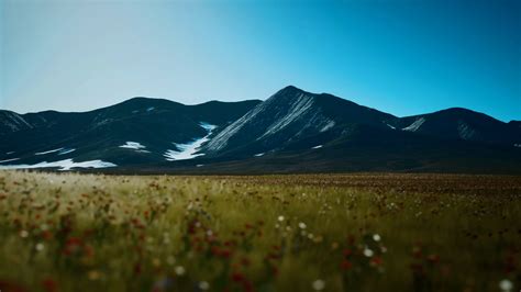 Panoramic View Of Alpine Mountain Landscape Stock Motion Graphics SBV ...