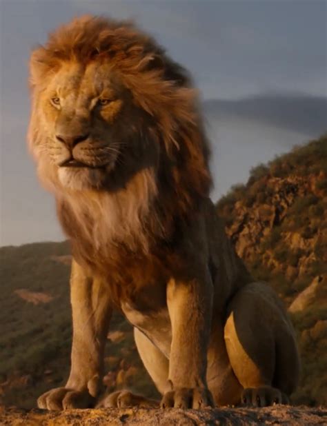 Mufasa | The Lion King (2019 film) Wiki | Fandom