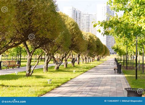 Moscow parks stock image. Image of park, path, sunlight - 154640097