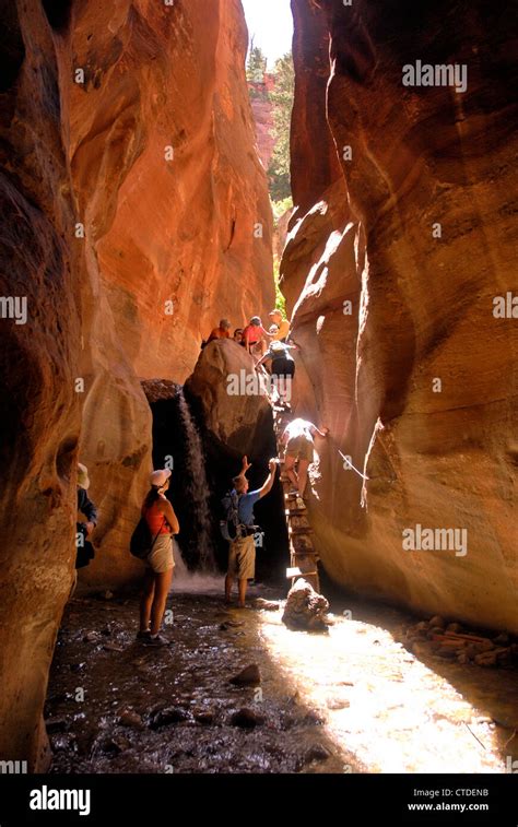 Kanarra Creek slot canyon hiking on BLM land near Kolob Canyons, Zion ...