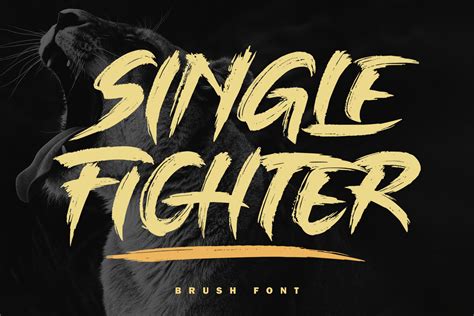 Single Fighter Font | subectype & Orenari | FontSpace