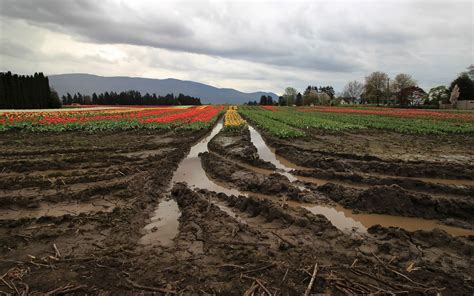 mud, Dirt, Field Wallpapers HD / Desktop and Mobile Backgrounds