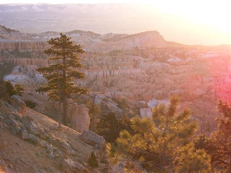 Bryce Canyon Sunrise Free Photo Download | FreeImages