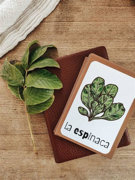 Spanish Food Flashcards Digital Download, Language Learning, Vocabulary, Montessori - Etsy