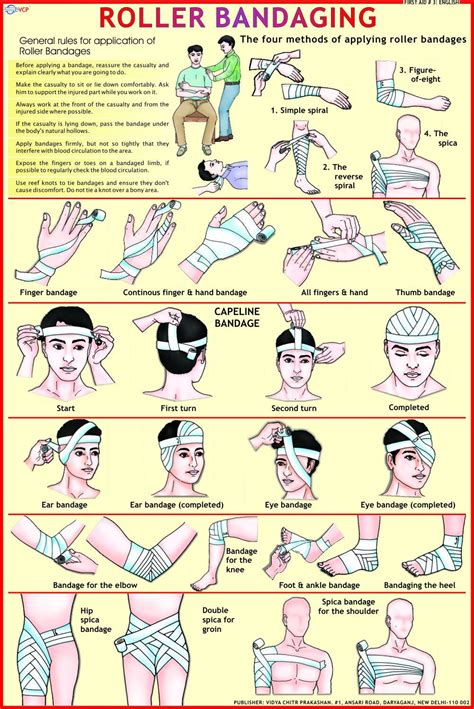 First Aid Charts at Rs 100/piece | फर्स्ट एड चार्ट, फर्स्ट ऐड चार्ट, प्राथमिक चिकित्सा का चार्ट ...