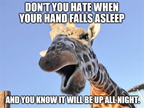 funny giraffe Memes & GIFs - Imgflip