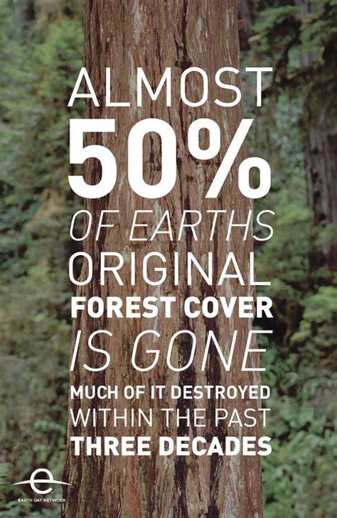 24 best images about Deforestation slogan ideas on Pinterest | Madagascar, Madagascar tours and ...