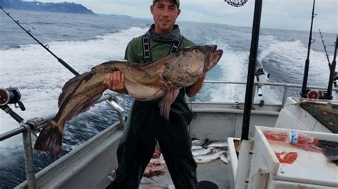 Alaska Fishing Seasons | Best Time To Fish Alaska | Halibut + Salmon