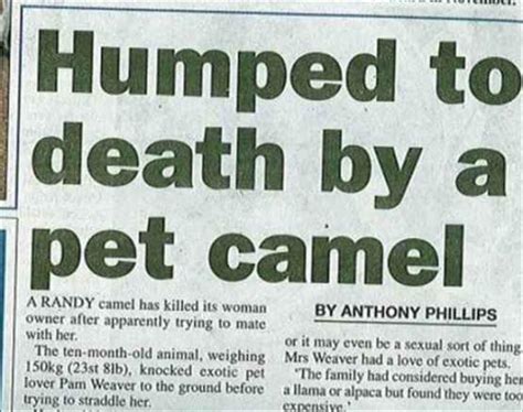 25 Funny News Headlines