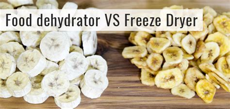 Food Dehydrator vs. Freeze Dryer Comparison - Which Is Better?