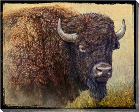 Bison Portrait I Wrapped Canvas Giclee Print Wall Art - Wall Decor - Artwork