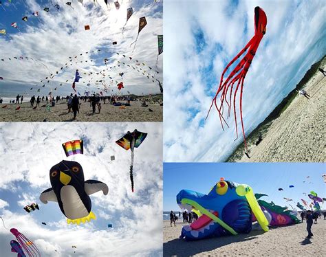 The Joys of Kite Festivals | Kitty Hawk Kites Blog |Kite Flying