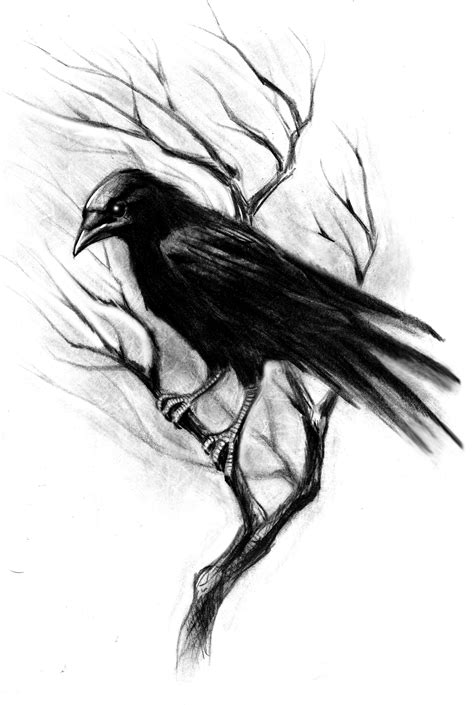 a drawing of a black bird sitting on top of a tree branch with no leaves