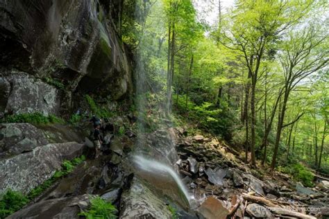 Rainbow Falls: The Tallest Waterfall in Great Smoky Mountains National ...