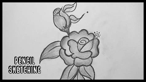 Shading Rose Day Pencil Drawing - (1) shading, (2) hatching, (3) crosshatching, and (4 ...