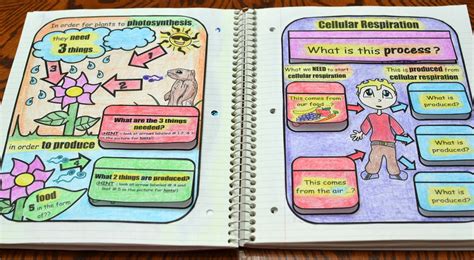 Math in Demand: Science Interactive Notebook - Cells