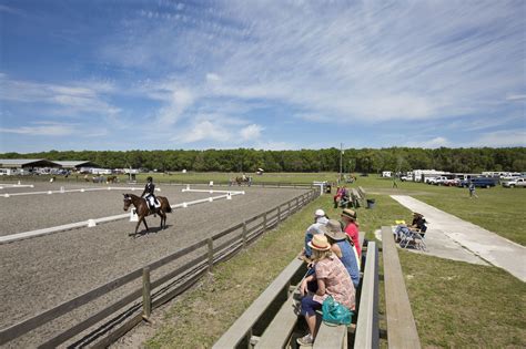 The Florida Horse Park: Ocala's Jewel | VISIT FLORIDA | Ocala, Visit ...