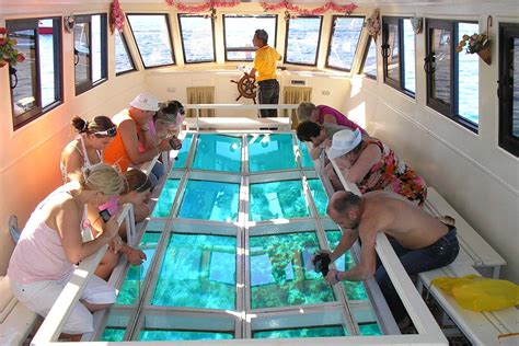 Glass Bottom Boat Cruise and Coral Reef Viewing in Sharm El Sheikh - TOUREX EGYPT