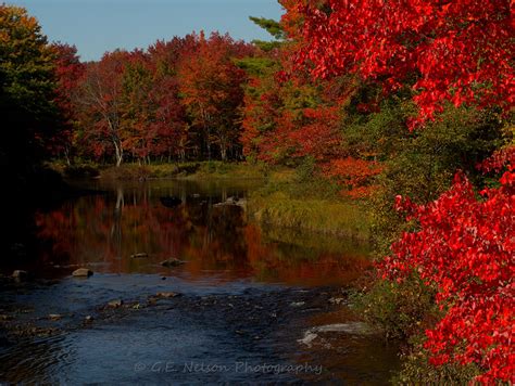 🔥 [50+] Maine Fall Foliage Wallpapers | WallpaperSafari