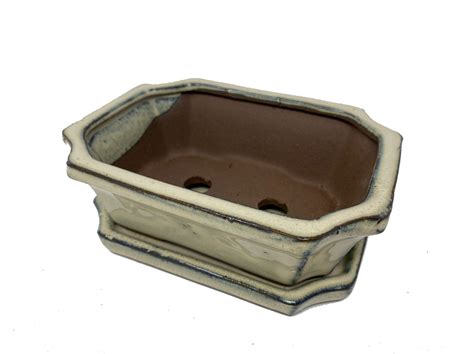 Rectangular Ceramic Bonsai Pot with Drip Tray in Cream - 15.5cm - Bonsai2U