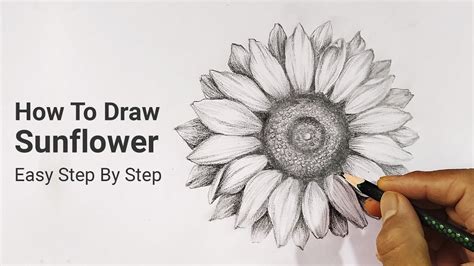 Easy Sunflower Drawing Step By | Best Flower Site