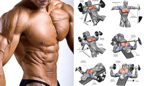 Top 10 Best Chest Building Exercises