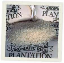 Home | Carolina Plantation Rice