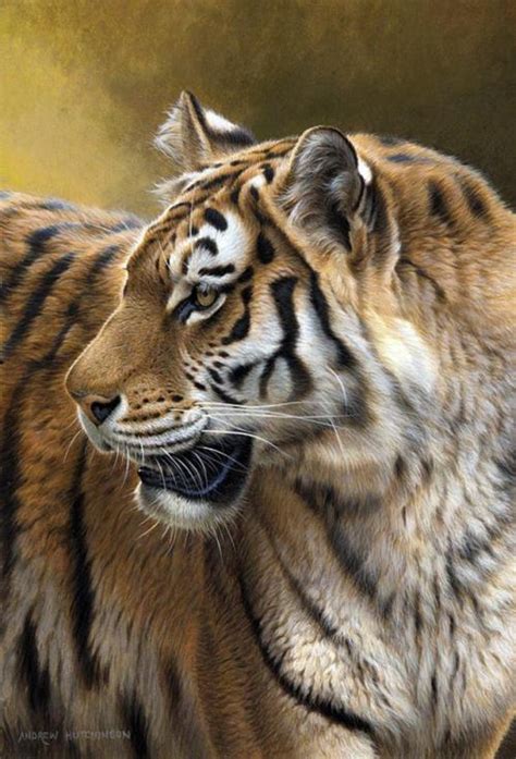 Painting by British Wildlife artist and naturalist Andrew ... Wildlife ...