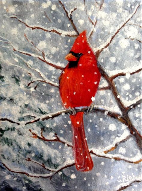 Red Cardinal Bird Print, Cardinal in Snow, Cardinal Art Print, Special ...