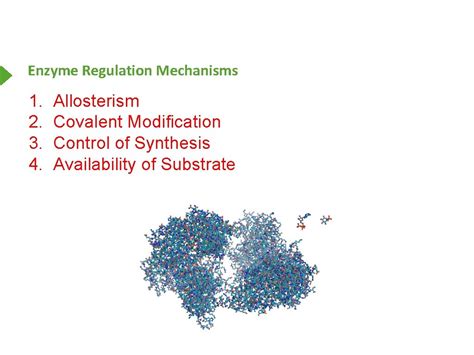 Enzyme Regulation Biochemistry Free For All Enzyme Regulation