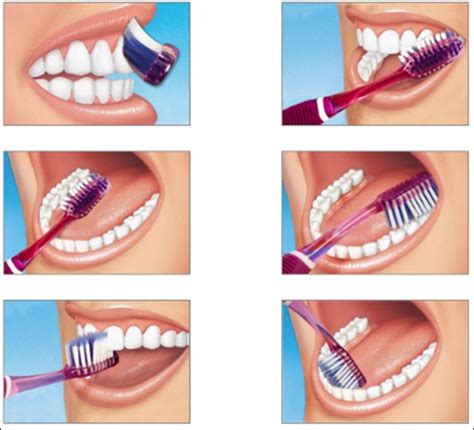 Brushing and Flossing for Healthy Teeth | My Dentist Burbank