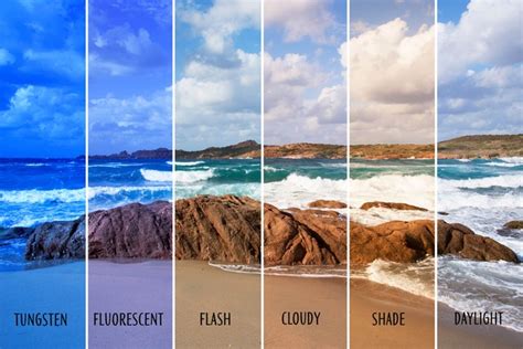 Tips Fotografi: Mengenal White Balance dan Efek Warna yang Ditimbulkan | kumparan.com