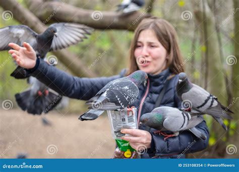 Feeding Pigeons in the Park. Woman Feeds Pigeons in London Park Stock Photo - Image of casual ...