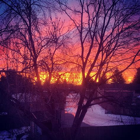 This morning’s sunrise : r/Calgary