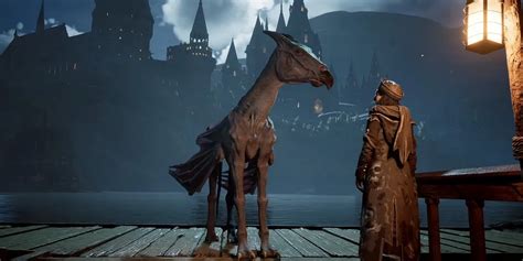 Hogwarts Legacy: How to Unlock and Fly Thestral Mount - Deltia's Gaming