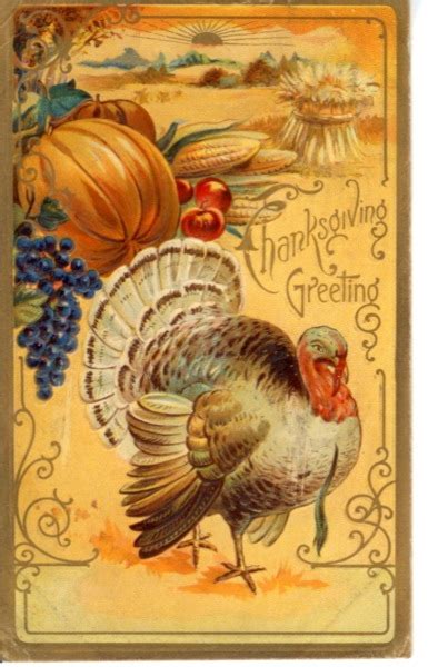 Vintage Thanksgiving Postcards : Viintage