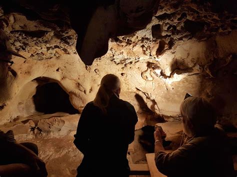 Mysterious Neanderthal cave engravings offer new glimpse into origins of art | Courthouse News ...