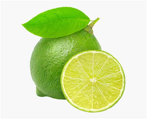 Clip Art Sliced Lime - Lime Png , Free Transparent Clipart - ClipartKey